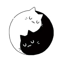 kesici yin yang kediler çeşitli kedi 3d print model - Mito3D