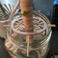 corte abrazadera propagador artilugio planta maceta propagación agua tarro crecer enraizamiento raíz primavera vástago 3d print model - Mito3D