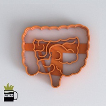 coupe de moule biscuits fondant corps humain, les organes l'intestin impression 3d modèle la maison porcelaine le petit-déjeuner l'anatomie l'homme l'utérus l'estomac foie du cerveau pulmonaire cœur témoins cortanes 3d print model - Mito3D