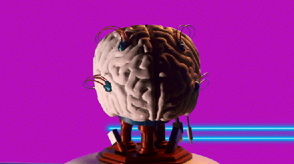 cyber brain - cable storage box organizer cables usb brains sci-fy futuristic cyberpunk office large gaming decoration statue detailed science 3d print model - Mito3D