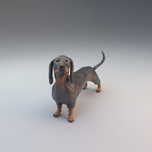 bassotto pre supportato arte animale cane domestico salsiccia wurstel tasso mammifero miniatura figura statua canino giocattolo 3d print model - Mito3D