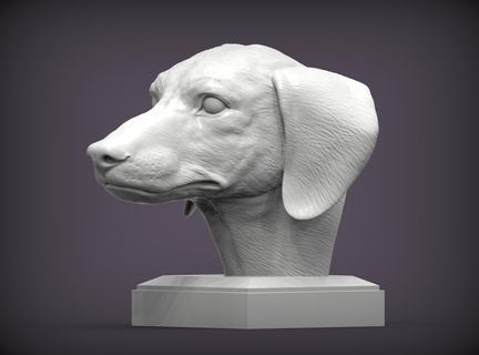 perro tejonero 3d impresión modelo naturaleza mamífero animal mascota escultura estatuilla recuerdo presente esculpir Arte esculturas estatua imprimible busto 3d print model - Mito3D