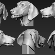 dachshund cabeça a arte miniaturas imprimir bonito natureza animais cão dragão jogo fantasia brinquedo 3d print model - Mito3D