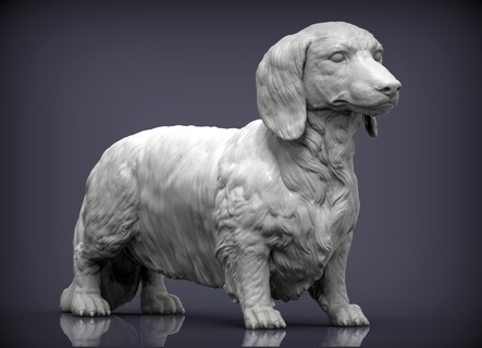 daksund uzun saç 3d Yazdır model köpek doğa memeli hayvan Evcil Hayvan heykel heykelcik hatıra mevcut Sanat heykeller 3dprint 3dmodel minyatürler 3d print model - Mito3D