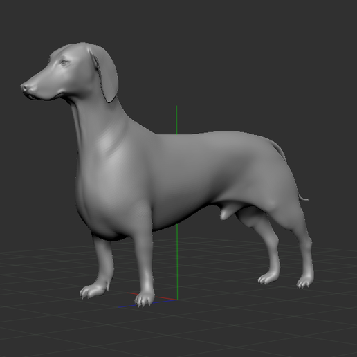 teckel saucisse chien animal 3D print model - Mito3D