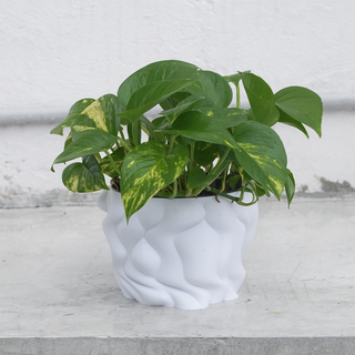 poitrine vase mode planteur planteur pot vase vase mode 3d print model - Mito3D