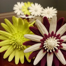 daisy fleur plat la maison 3d print model - Mito3D