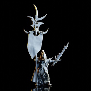 dark elves banner lord 3d print model - Mito3D