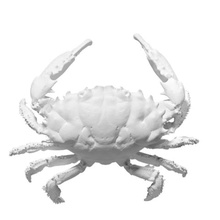 dunkle finger Riff-Krabbe verschiedene 3d print model - Mito3D
