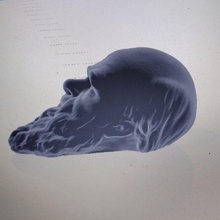 Darwin cabeça locksimth moda chaveiro 3d print model - Mito3D
