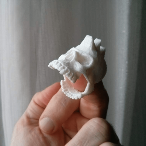 dasaki punk skull ring jewelry 3d printed jewerly 3D print model - Mito3D