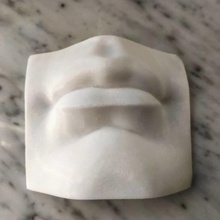 david's bocca arte michelangelo Firenze firenze scolpture 3d print model - Mito3D