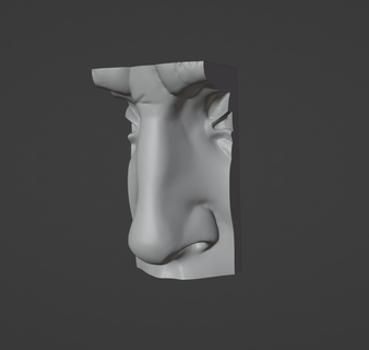 david's naso david michelangelo 3d print model - Mito3D
