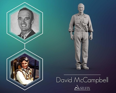 David mccampbell 3d Yazdır model herman heykel Sanat Vesika adam heykeller Amerikan savaş ww2 havacı 3d print model - Mito3D