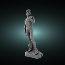 David heykel ver 1 3d print model - Mito3D