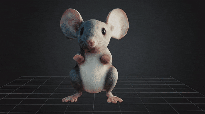 dbx rato 2 stl obj glb 3d impressão arte mickey ratos animal 3d print model - Mito3D