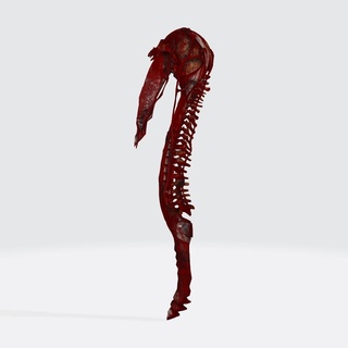 morto luce giorno arma Halloween cranio cosplay sopravvivenza orrore gioco azione 3d print model - Mito3D