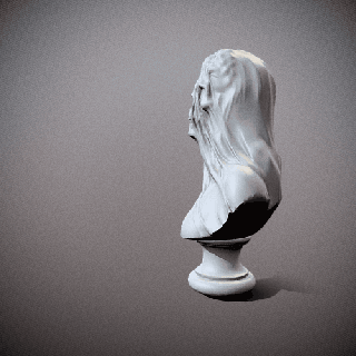 dead lady veil bust skull 3d print model - Mito3D