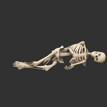 dead skeletons gestellt x4 Spiel Requisiten Skelette Skelett Fabel tot 3d print model - Mito3D