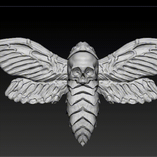Todesfälle Kopf Falke Motte 3D print model - Mito3D