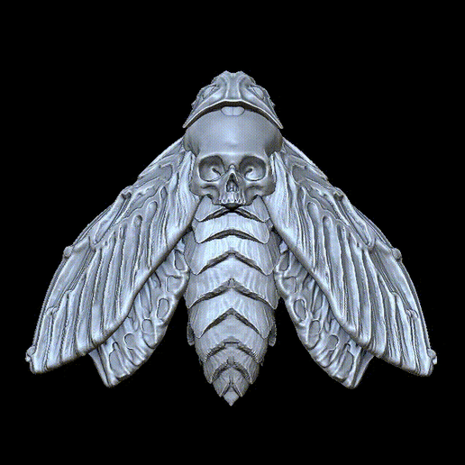 Todesfälle Kopf Falke Motte Flügel geschlossen 3D print model - Mito3D