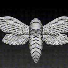 décès tête faucon papillon nuit 3d print model - Mito3D