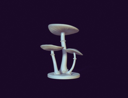 mort casquette jouet champignon bolet mouche agaric amanite forêt flore nature botanique champignons miniatures toxique pâle grèbe vénéneux phalloïdes 3d print model - Mito3D