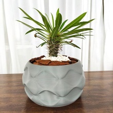 decorativo Projeto vaso plantas 3d impressão modelo 3d print model - Mito3D