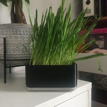decorativo maceta planta decoración moderno negro bricolaje diy 3d print model - Mito3D