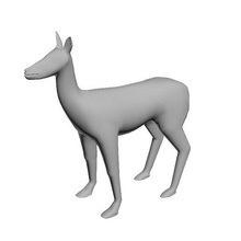 geyik 3d model fbx obj stl Ulaşım oyun Sanat karakter gerçek dışı Bedava kişi teçhizat hileli animasyonlu blender max sinema 3d print model - Mito3D