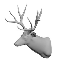 geyik baş 3d model fbx obj stl Ulaşım oyun Sanat karakter gerçek dışı Bedava kişi teçhizat hileli animasyonlu blender max sinema 3d print model - Mito3D