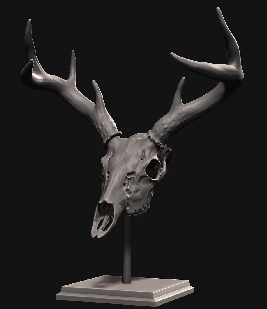 veado crânio ficar pé mamífero animal cabeça chifres 3dprinting esqueleto 3D print model - Mito3D
