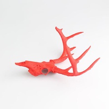deer skull various 3d print model - Mito3D
