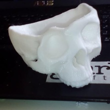 deformed skull bowl various 3d print model - Mito3D