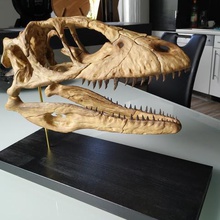 deinonychus kafatası sanat jurassic iskelet fosil dinozor 3d print model - Mito3D