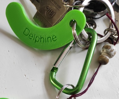 Delphine porte clés 3d print model - Mito3D
