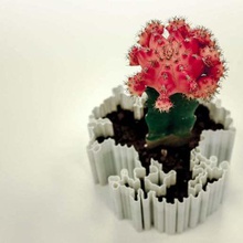 dendritas art container dendrites flowerpot fractal houseware math trede containers 3d print model - Mito3D