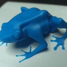 dendrobar Arte rana animal 3d print model - Mito3D