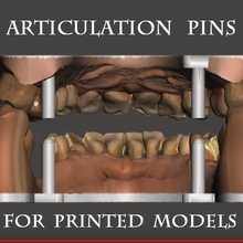 dental articulation pins tool dentistry 3ddental digitaldentistry dentalmodels 3d print model - Mito3D