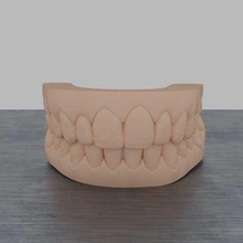 diş model reçine ısırmak ağız 3d print model - Mito3D