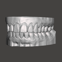 Dental Modell Kunst Zahnheilkunde Zähne Mund Design 3d print model - Mito3D