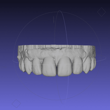 dental modelo boca dentes brincar 3d print model - Mito3D