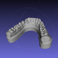 dental modelo boca dientes 3d print model - Mito3D