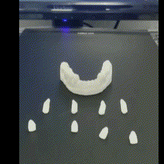 dental modelo impresso en resina anycubic padrão odontologia removível peças coroas 3d impressão estude prática destacável partes 3d print model - Mito3D
