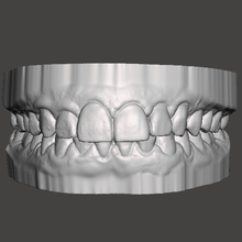 dental models art dentistry teeth mouth design 3d print model - Mito3D