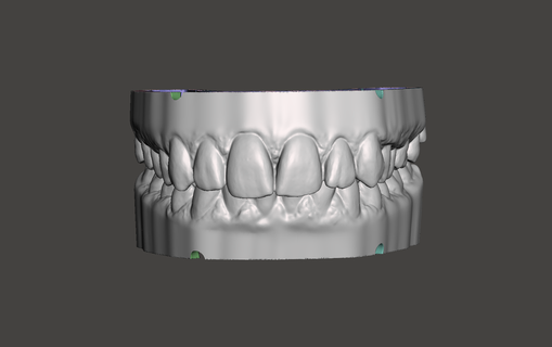 Dental Studie Modelle Zahnheilkunde Zähne Mund Design 3d print model - Mito3D