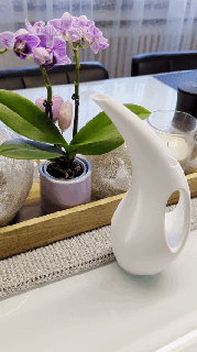 conception gie entrée Accueil maison canettes giesskänke plante kunst 3d print model - Mito3D