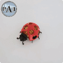 desktop ladybug robot v20 3d print model - Mito3D