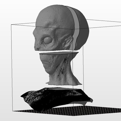 detaillierte alien-Kopf splited passen Bett Kunst Kreaturen alien 3D print model - Mito3D