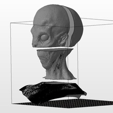 detaillierte alien-Kopf splited passen Bett Kunst Kreaturen alien 3d print model - Mito3D